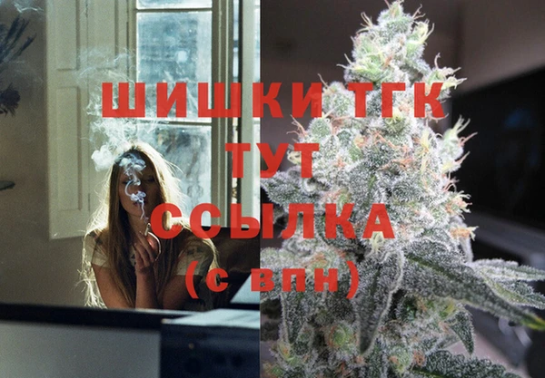 гидропоника Алзамай