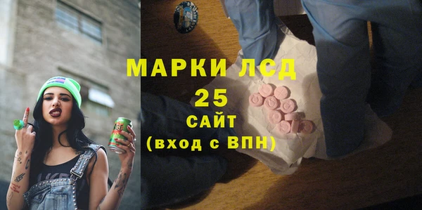 a pvp Пересвет